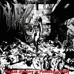 Vulgar Displays Of Perversion : Vulgar Displays of Perversion 2009